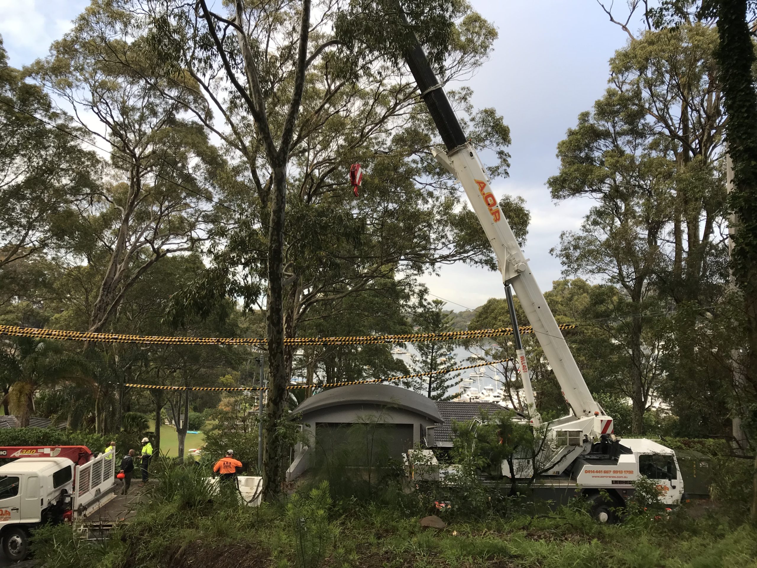 Large crane on site tree removals in Sydney's northern beaches